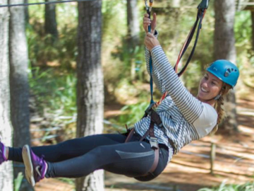 Tree Adventures