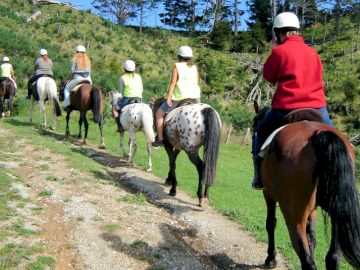 Horse Riding Warkworth – Two 1-Hour Ride Vouchers