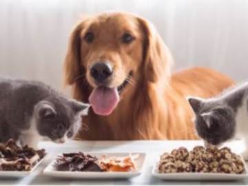 $20 Fur Babies Pet Food Store Voucher