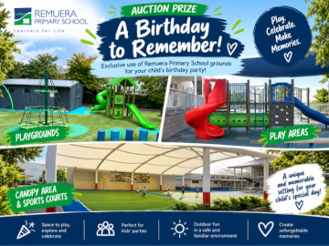RPS School hire for birthday party - priceless