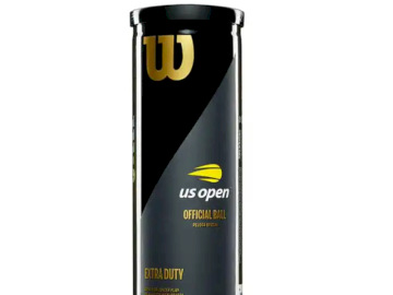 1 can of Wilson tennis balls